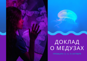 Артисты театра готовят «Доклад о медузах»